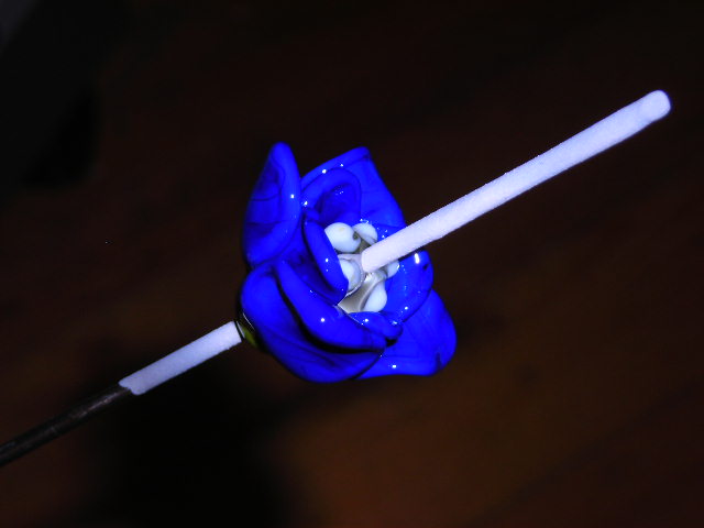 Datei:Blümchenkurs 6-19.JPG