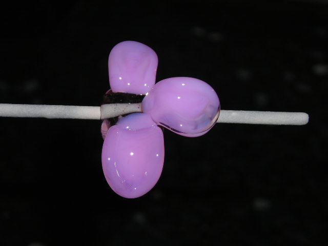 Datei:Blümchenkurs 7-7.JPG