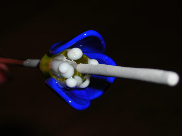 Datei:Blümchenkurs 6-9.JPG