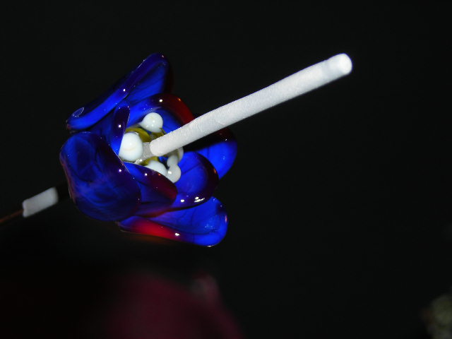 Datei:Blümchenkurs 6-17.JPG