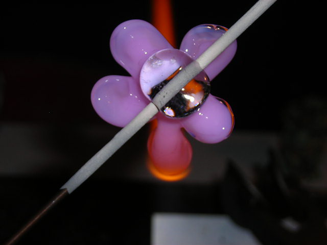 Datei:Blümchenkurs 7-9.JPG