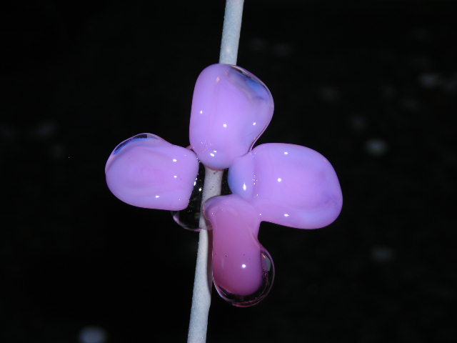 Datei:Blümchenkurs 7-8.JPG