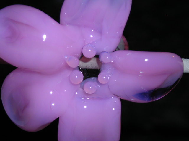 Datei:Blümchenkurs 7-13.JPG