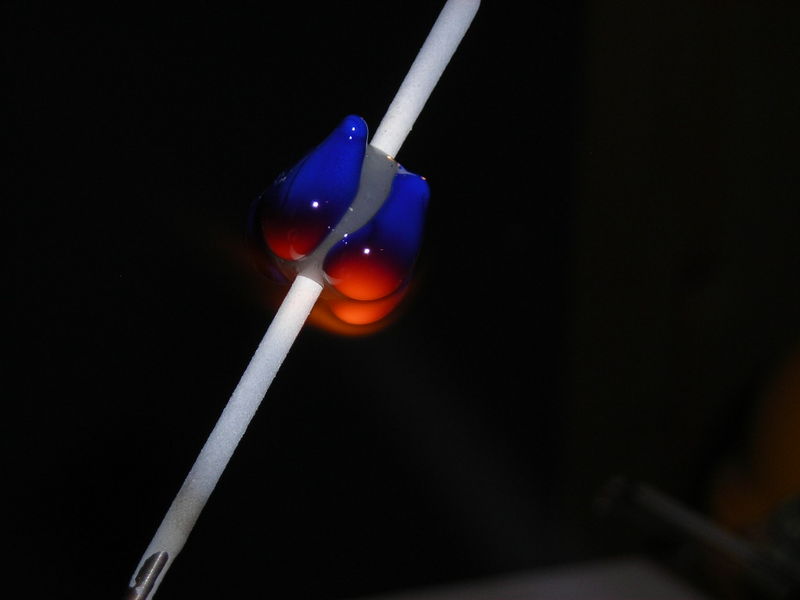 Datei:Blümchenkurs 4-8.JPG