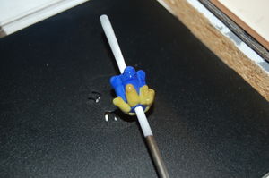 Blümchenkurs 3-14.JPG