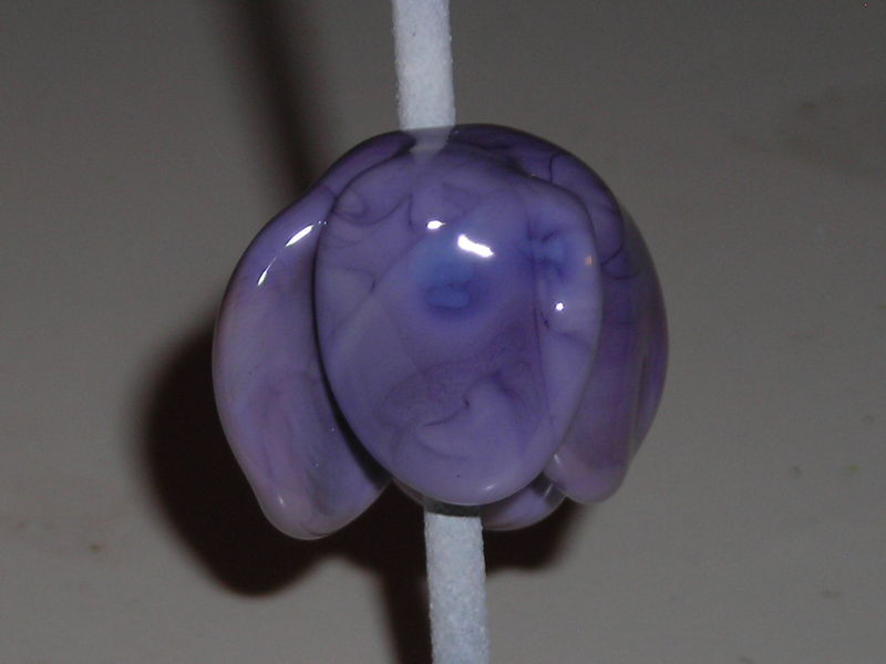 Datei:Blümchenkurs 5-17.JPG